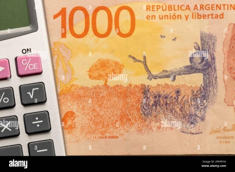 Cuál plazo fijo conviene más para ahorrar en Argentina