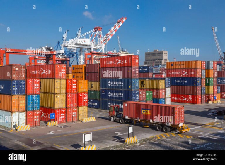 contenedor de carga en puerto maritimo argentina