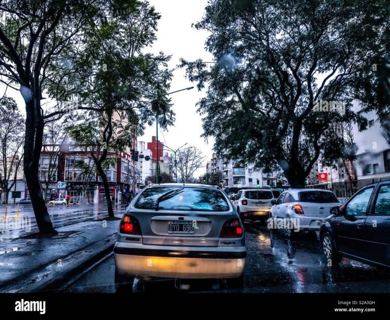 Es posible hacer la VTV en La Plata sin turno previo