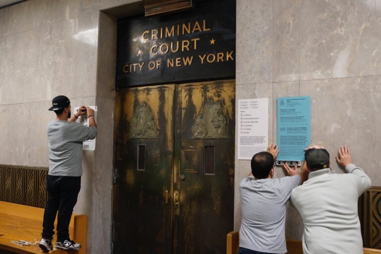 Cómo contactar y qué trámites hacer en el Juzgado de Faltas de José C. Paz 8 Cómo contactar y qué trámites hacer en el Juzgado de Faltas de José C. Paz