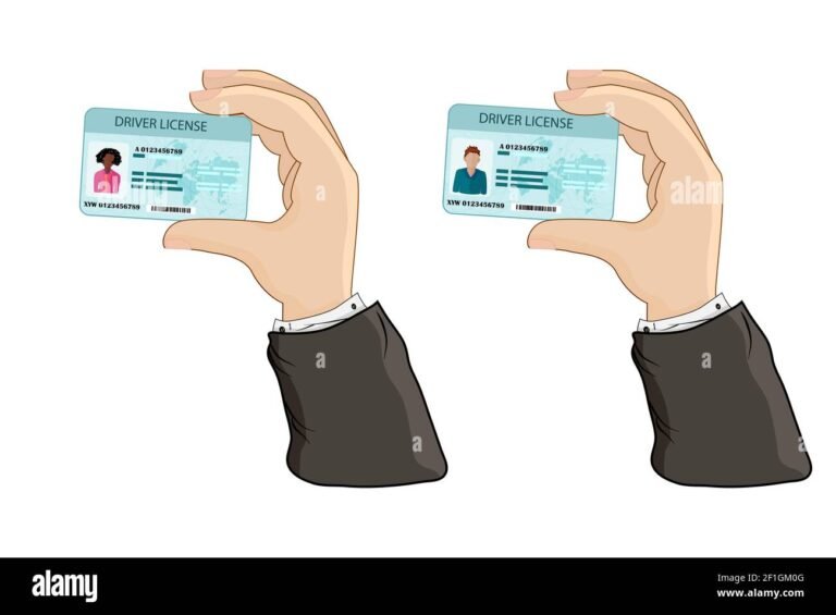 manos sosteniendo tarjeta de identificacion vehicular