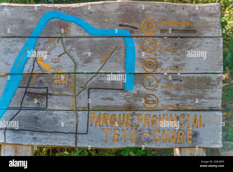 Cómo Consultar Multas y Monitoreo Vial en Misiones