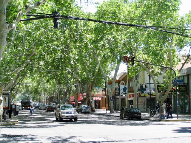 Cuáles son las multas por patente en Mendoza y cómo pagarlas