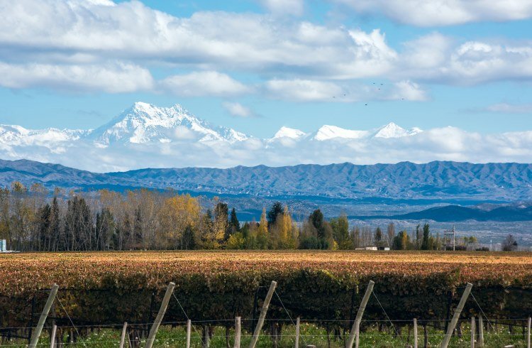 oficina de transito en mendoza al aire libre