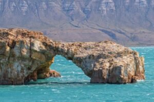 paisaje natural del monte en posadas