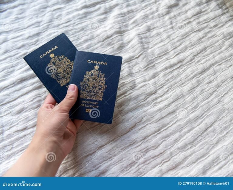 Cuáles Son Los Requisitos Para Obtener El DNI Permanente Para Extranjeros