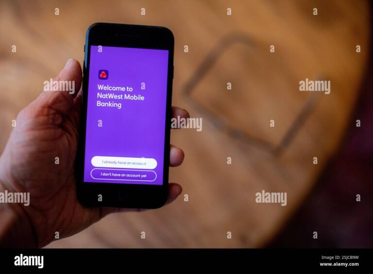 persona usando celular con app bancaria abierta 2