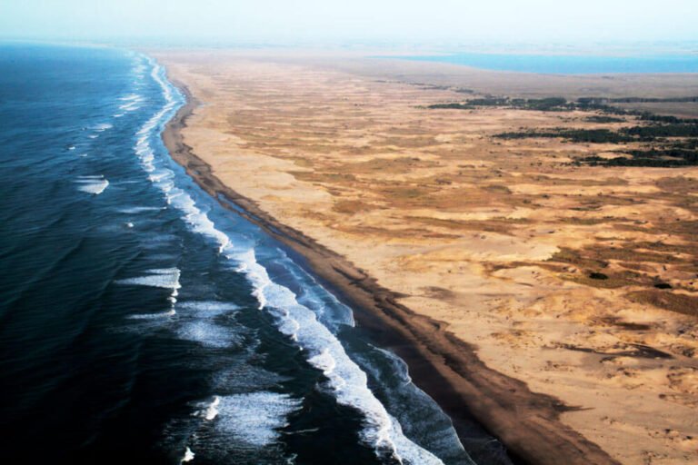 Qué Actividades Puedo Hacer en Mar Chiquita, Buenos Aires